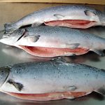 salmon chile15